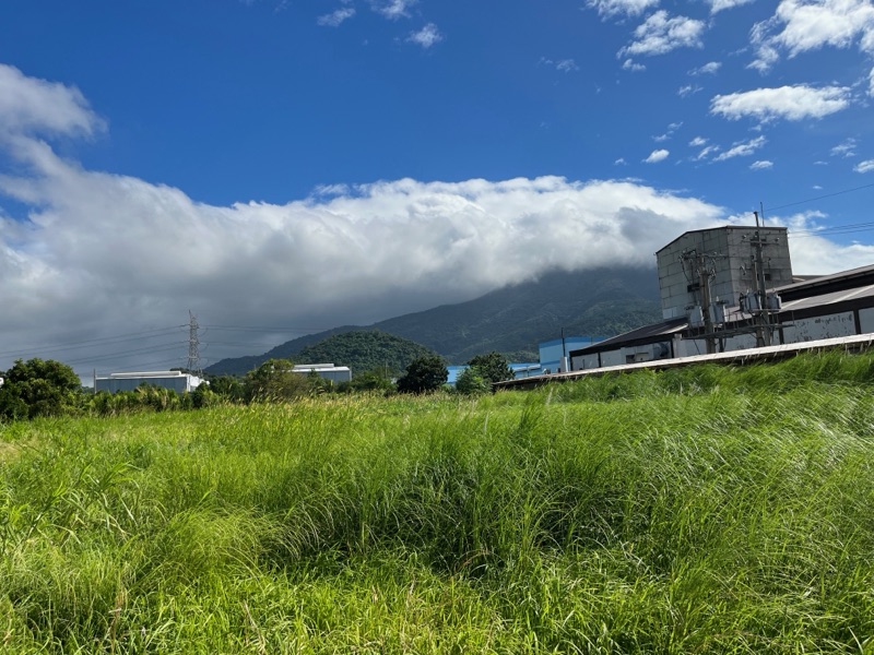 Mt. Makiling seen from the Metercor plant in the Light Industry and Science Park III